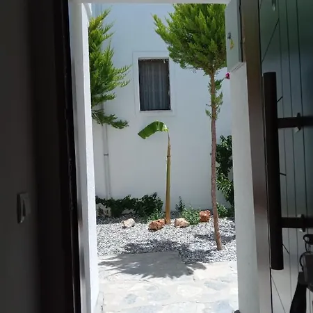 Dolphin Residences Yasemin 2